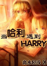 当哈利遇到harrytxt