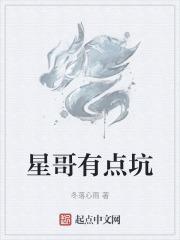 星哥玩的什么游戏