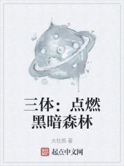 三体黑暗森林讲的是什么