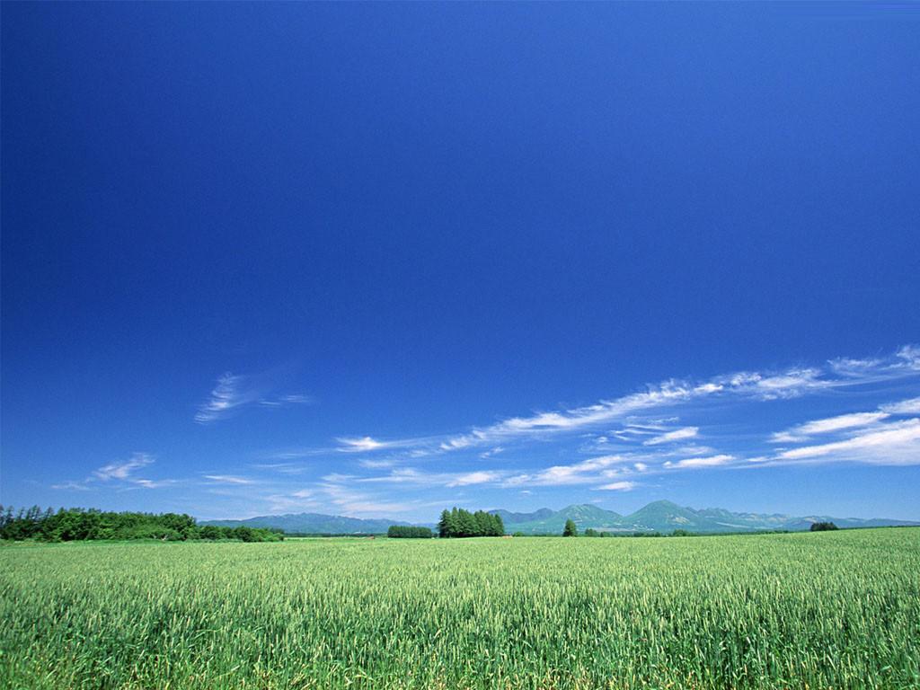 丰水湖公园在哪里