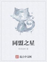 同盟鹣鲽