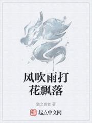 风吹雨落花什么歌曲