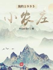 我的1995小农庄TXT奇书网