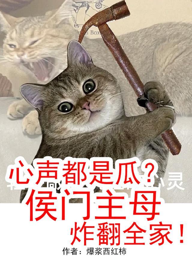 心声都是瓜?侯门主母炸翻全家!TXT