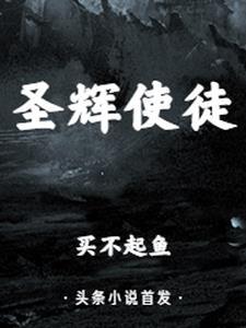 圣辉法师图片