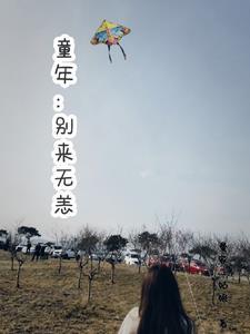 别来无恙mv