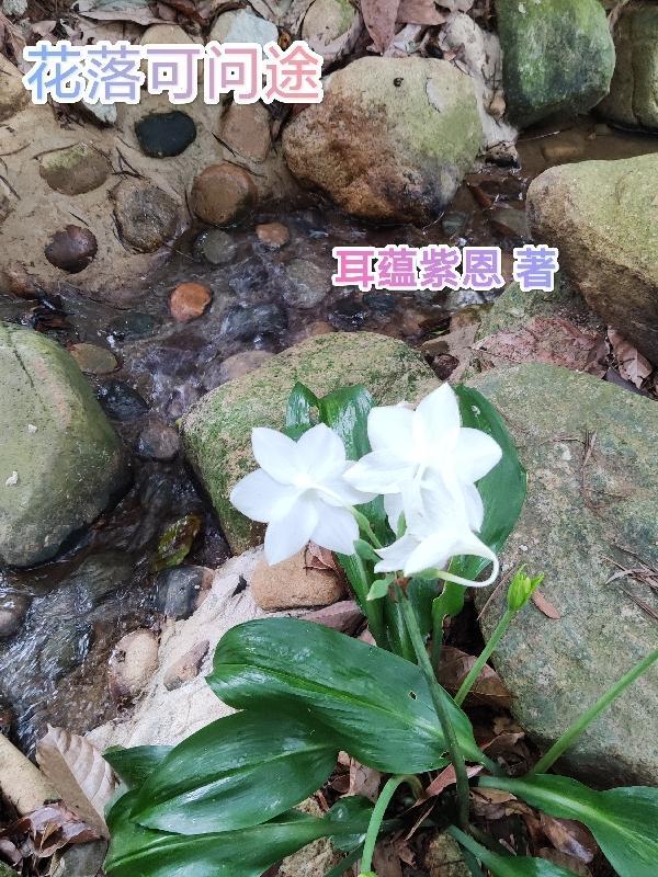 花落知多少?