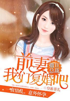 我们复婚吧漫画