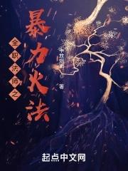 全职法师中阶火系