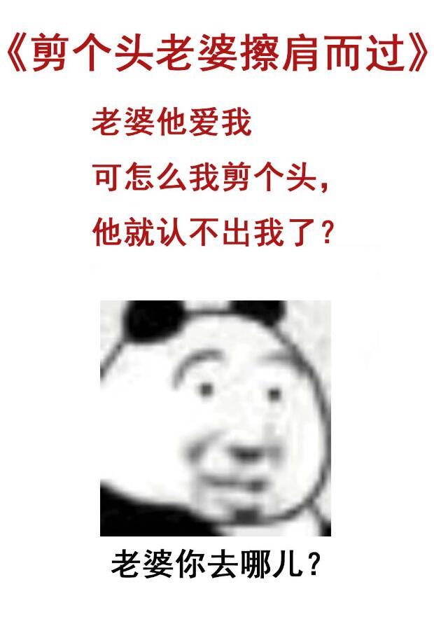 老婆剪头发故事