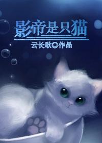 影帝是只猫谁是攻