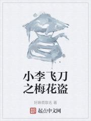 小李飞刀之梅花盗