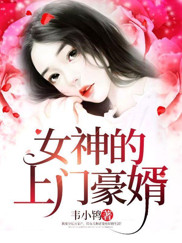 女神的上门豪婿